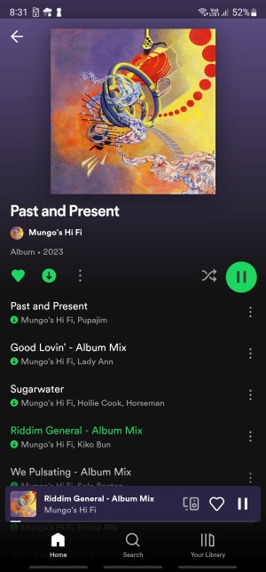 Screenshot_20230707_203131_Spotify.jpg