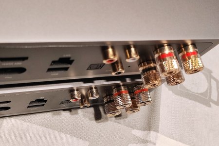 Binding posts Amp vs Amp Pro.jpg