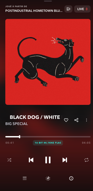 1000012062.png