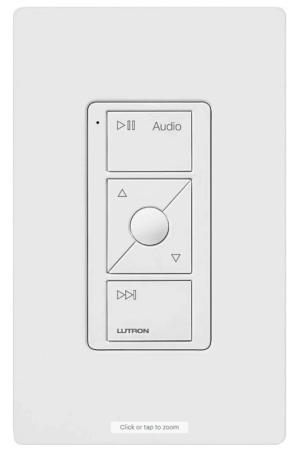 pico audio with plate.png