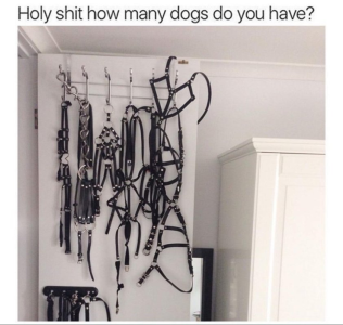 1748458686632.png