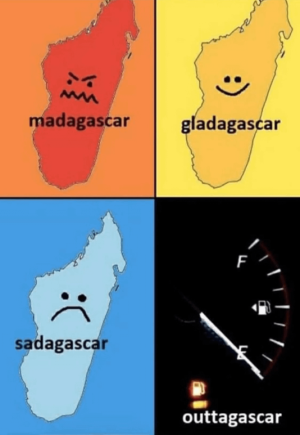 IMG_7315.png