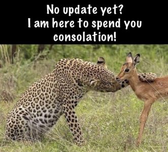 IMG_7426.jpeg