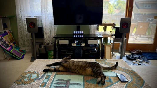 IMG_7420.jpeg