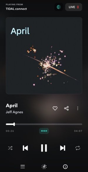 Screenshot_2025-07-07-18-00-28-331_com.aspiro.tidal-edit.jpg