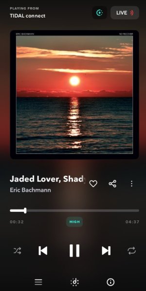Screenshot_2025-07-07-18-37-16-073_com.aspiro.tidal-edit.jpg