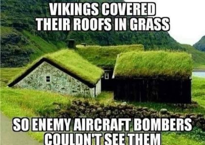 1753602230555.jpeg