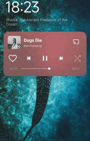 Screenshot_2025-07-28-18-23-52-224_lockscreen-edit.jpg