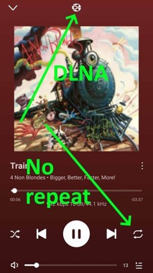 04 DLNA no repeat.jpg