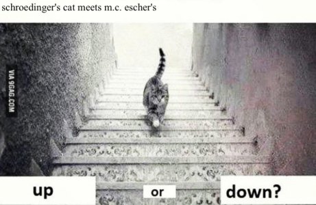 IMG_7847.jpeg