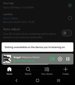 Screenshot_20250930_000750_Spotify.jpg