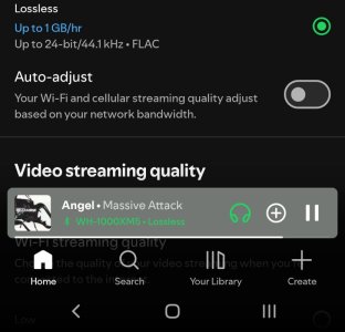 Screenshot_20250930_000909_Spotify.jpg