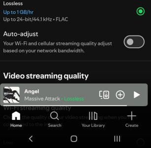 Screenshot_20250930_000927_Spotify.jpg