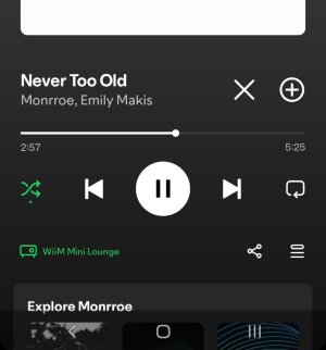 Screenshot_20250930_002601_Spotify.jpg