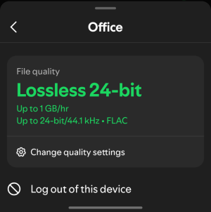 Screenshot_20251006_163314_Spotify.png