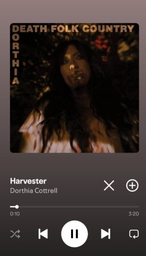 Screenshot_2025-10-16-23-18-48-709_com.spotify.music-edit.jpg