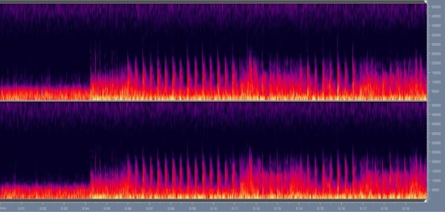 Recording with 96kHz sampling of the Wiim Ultra's analog output when playing a DSD track.jpg