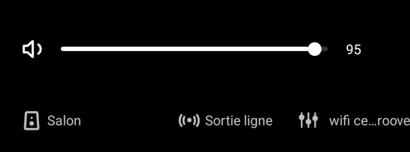 Screenshot_20251115_094551_WiiM Home.jpg