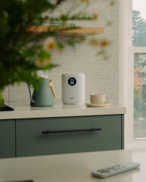 _CAL2534.jpg _CAL2534.jpg