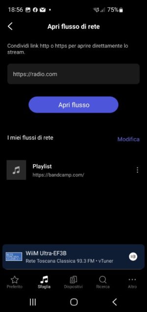Screenshot_20251128_185632_WiiM Home.jpeg