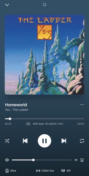 IMG_1379.jpeg IMG_1379.jpeg