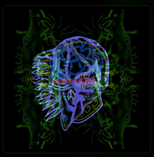 Screenshot 2025-12-17 at 21.02.55.png