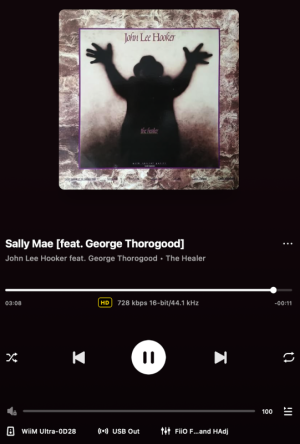 Sally Mae [feat. George Thorogood).png
