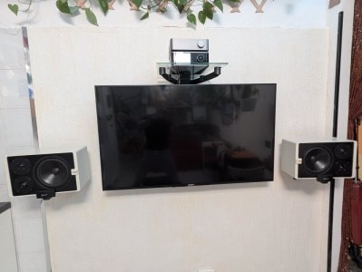 1ff698fd-b1b2-402a-8d3c-b0309ab505df-1_all_11215.jpg 1ff698fd-b1b2-402a-8d3c-b0309ab505df-1_all_11215.jpg