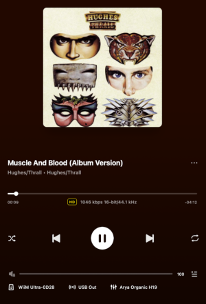 Muscle And Blood (Album Version).png