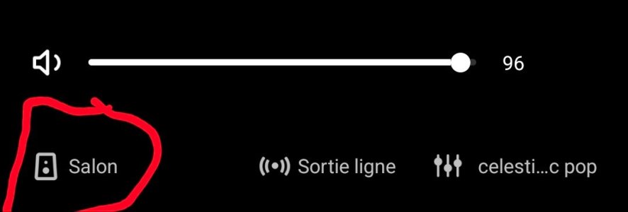 Screenshot_20260116_091523_WiiM Home.jpg