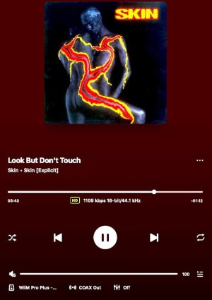 Look But Don't Touch.jpg