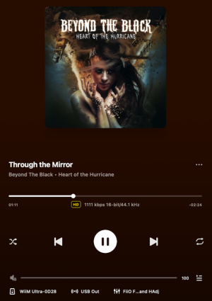 BEYOND THE BLACK.png