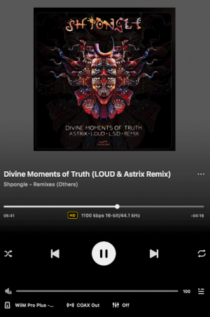 Divine Moments of Truth (LOUD & Astrix Remix).png