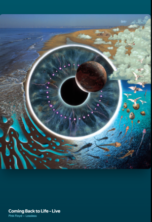 Screenshot 2026-02-06 135144.png