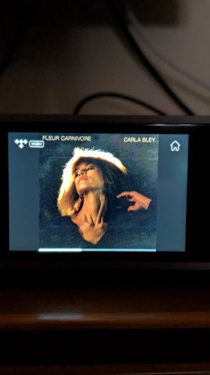 PXL_20260218_142433605.jpg PXL_20260218_142433605.jpg