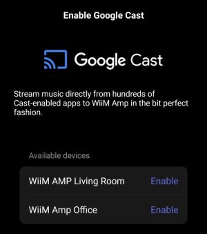 WiiM Cast Settings.jpg