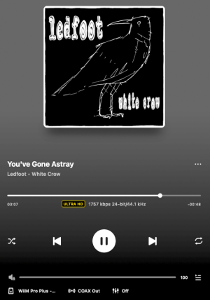 You've Gone Astray.png