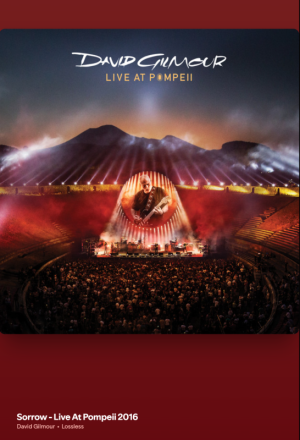 Screenshot 2026-03-08 133329.png