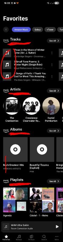Screenshot_20260326_163311_WiiM Home~2.jpg