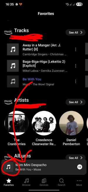 Screenshot_20260326_163524_WiiM Home~3.jpg
