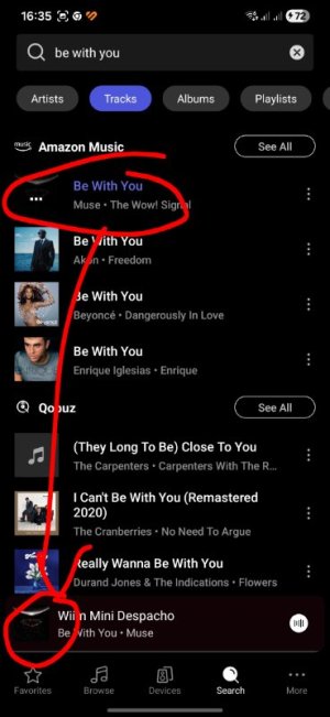 Screenshot_20260326_163600_WiiM Home~2.jpg