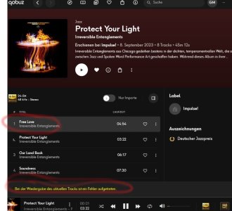 Fehler sobald WiiM Geräte 2026-03-31.jpg