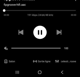 Screenshot_20260417_100739_WiiM Home.jpg