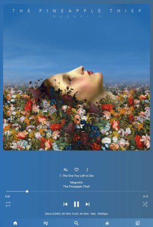 Screenshot_20260418-154040_USB Audio Player PRO.jpg