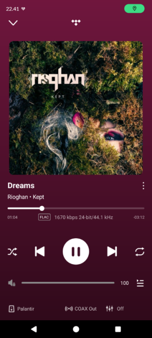 Screenshot_20260428-224113_WiiM Home.png