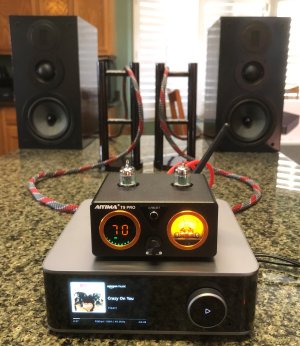 WIIM ULTRA and SWAN SPEAKERS.jpg