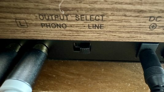 phono line output.jpg