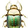 Scarab