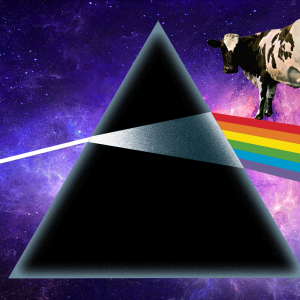 dsotm-wiim-ahm.png