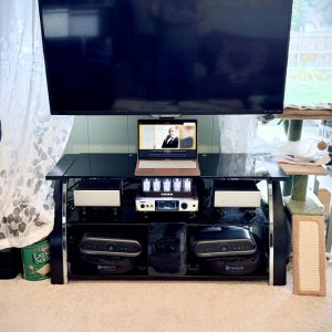IMG_7319.jpeg